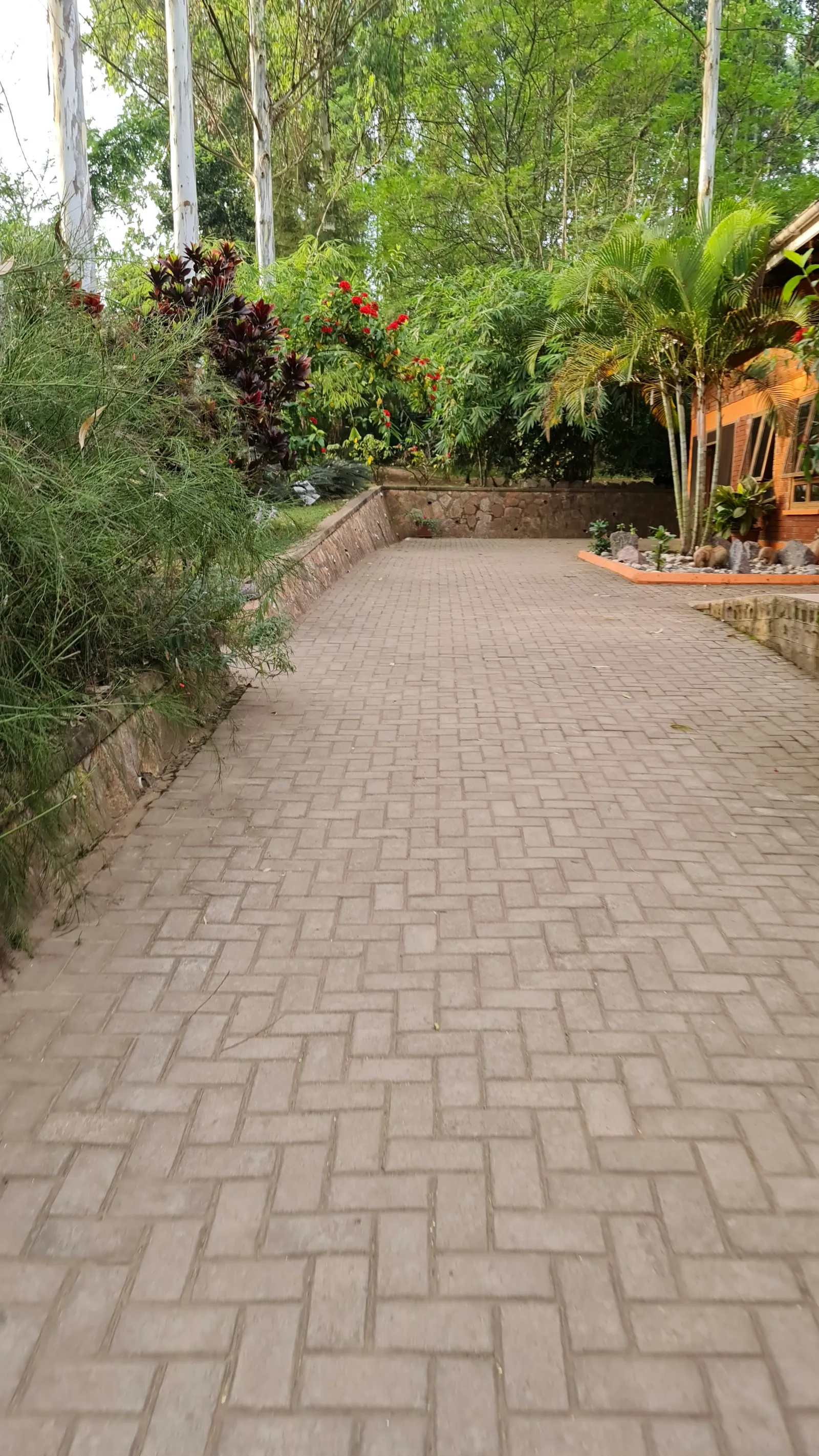 Outdoor herringbone paver terrace with outdoor seating and soft landscaping
