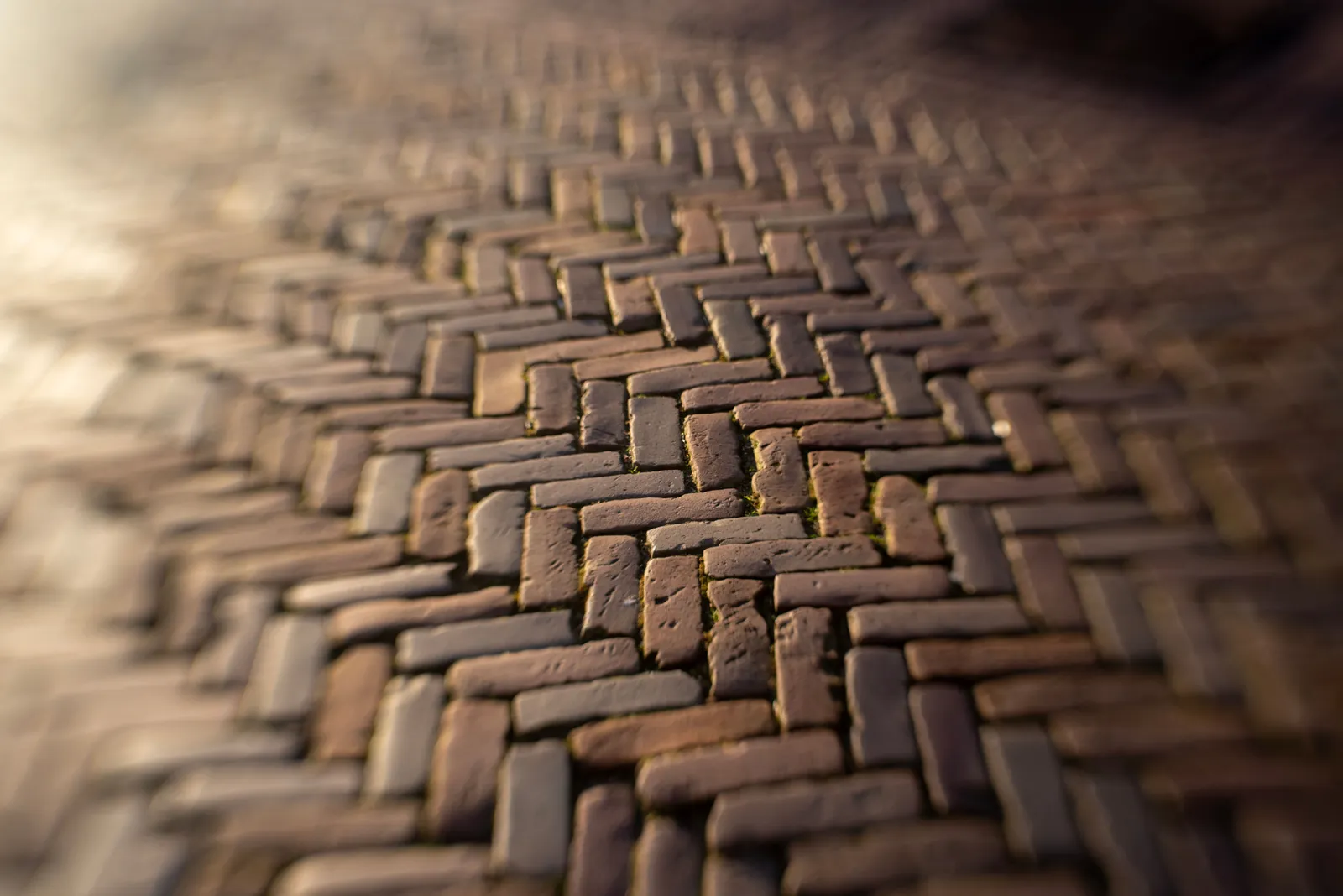 Herringbone brick paver patio with classic warm-toned pavers and garden setting