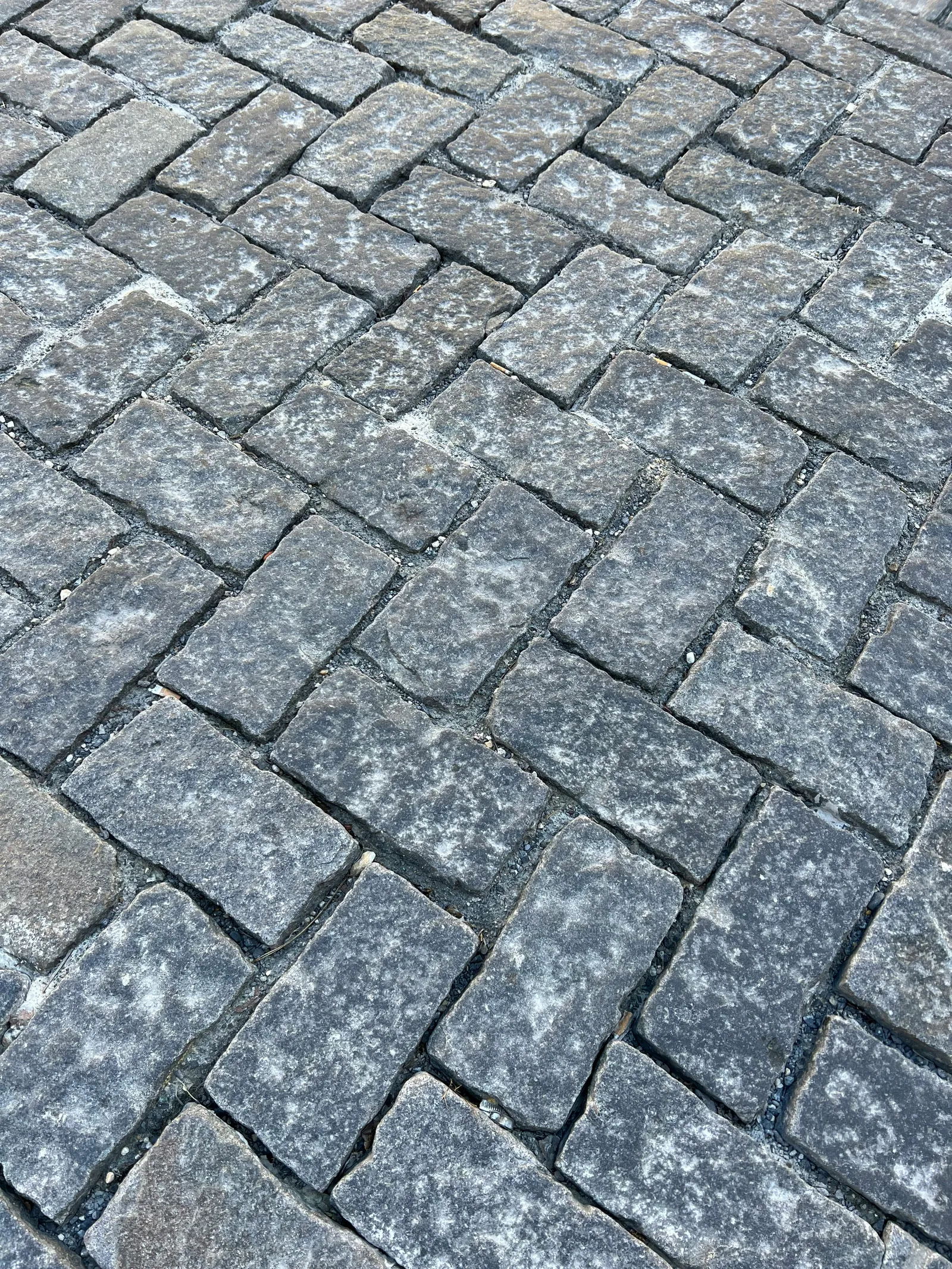 Herringbone paver patio with alternating 45-degree angled pavers creating a continuous V interlock pattern