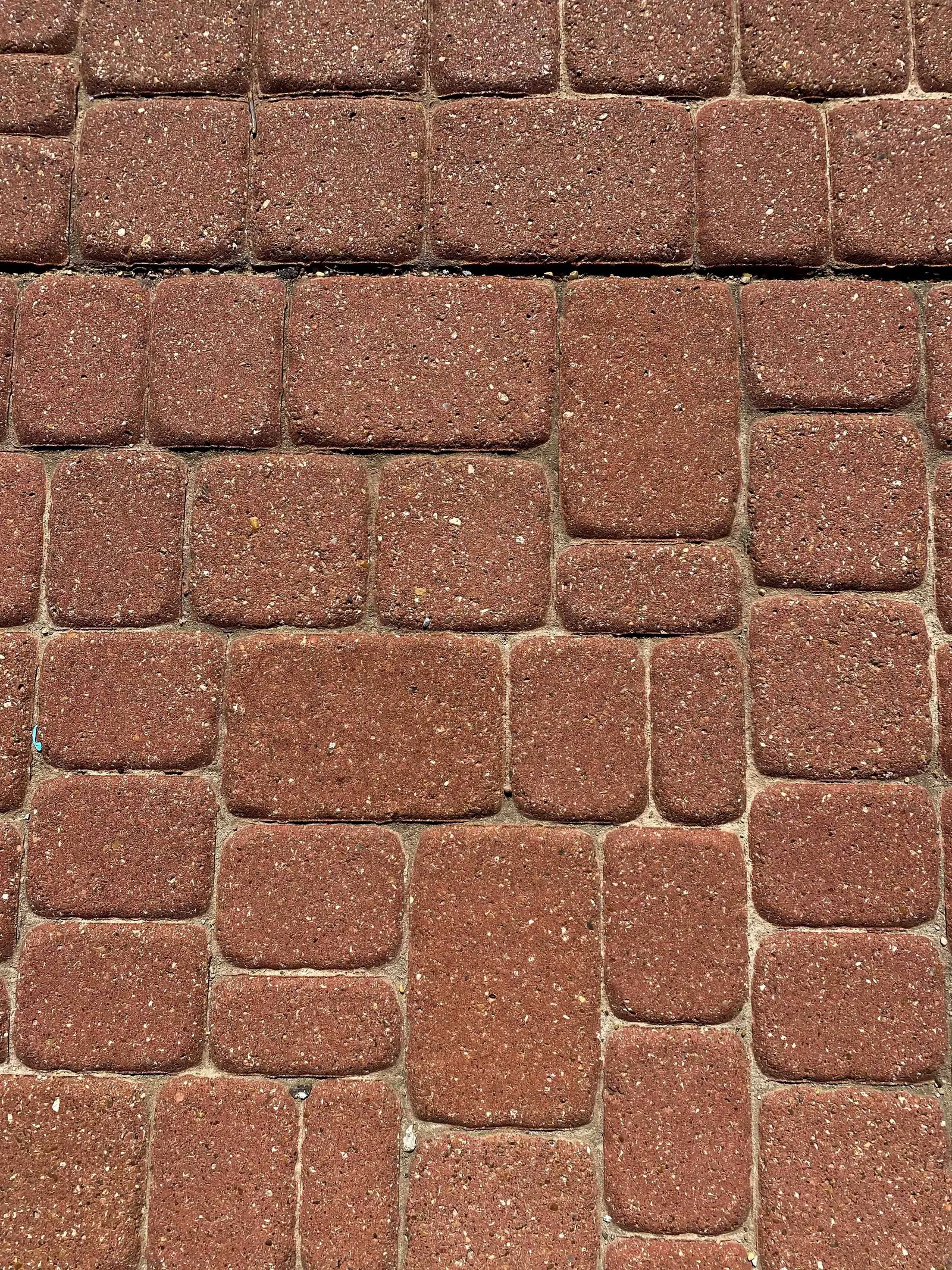 Comparison of ashlar paver sizes with a contrasting border course in a courtyard setting