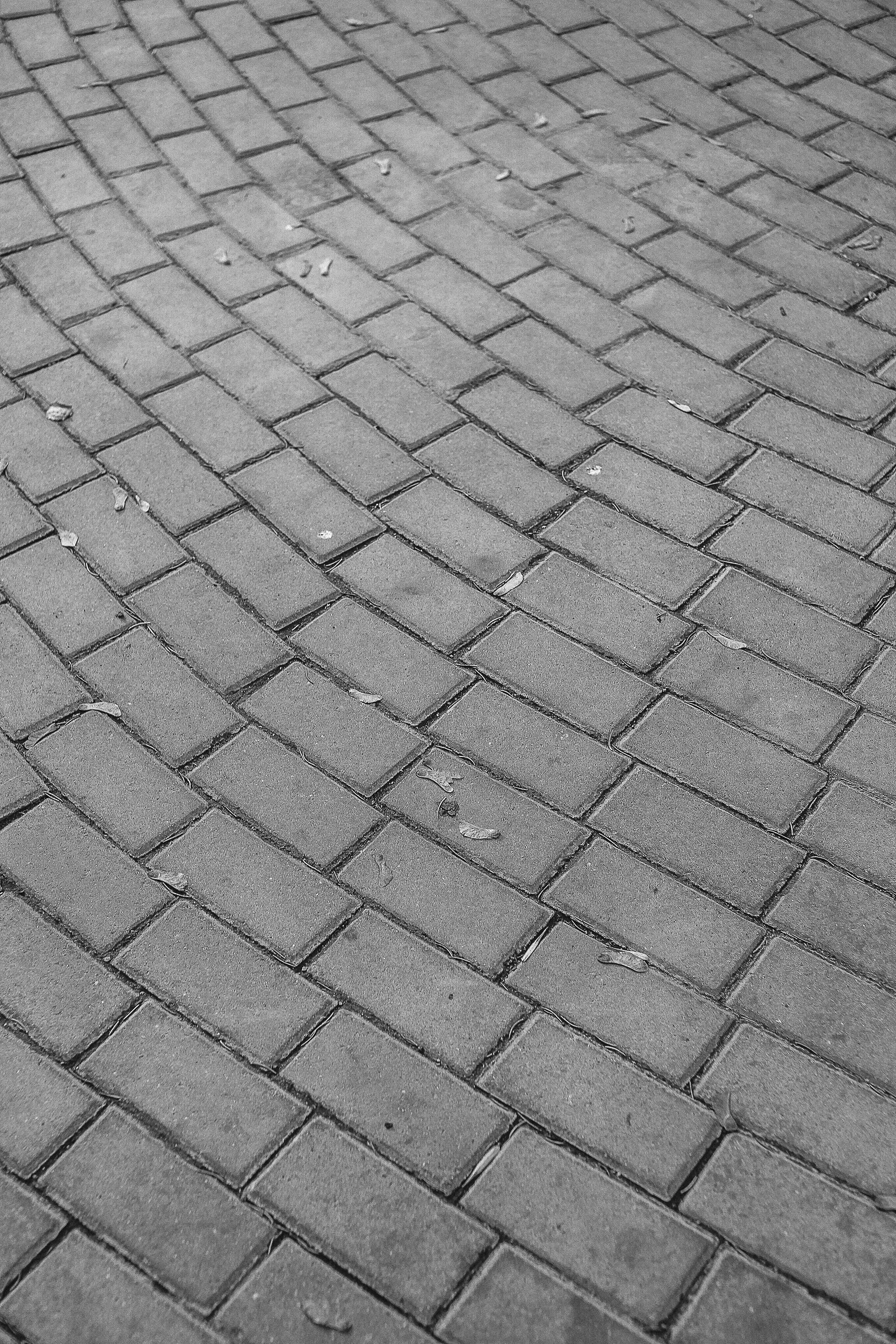 Running bond paver patio with clean staggered brick rows and a defined edge